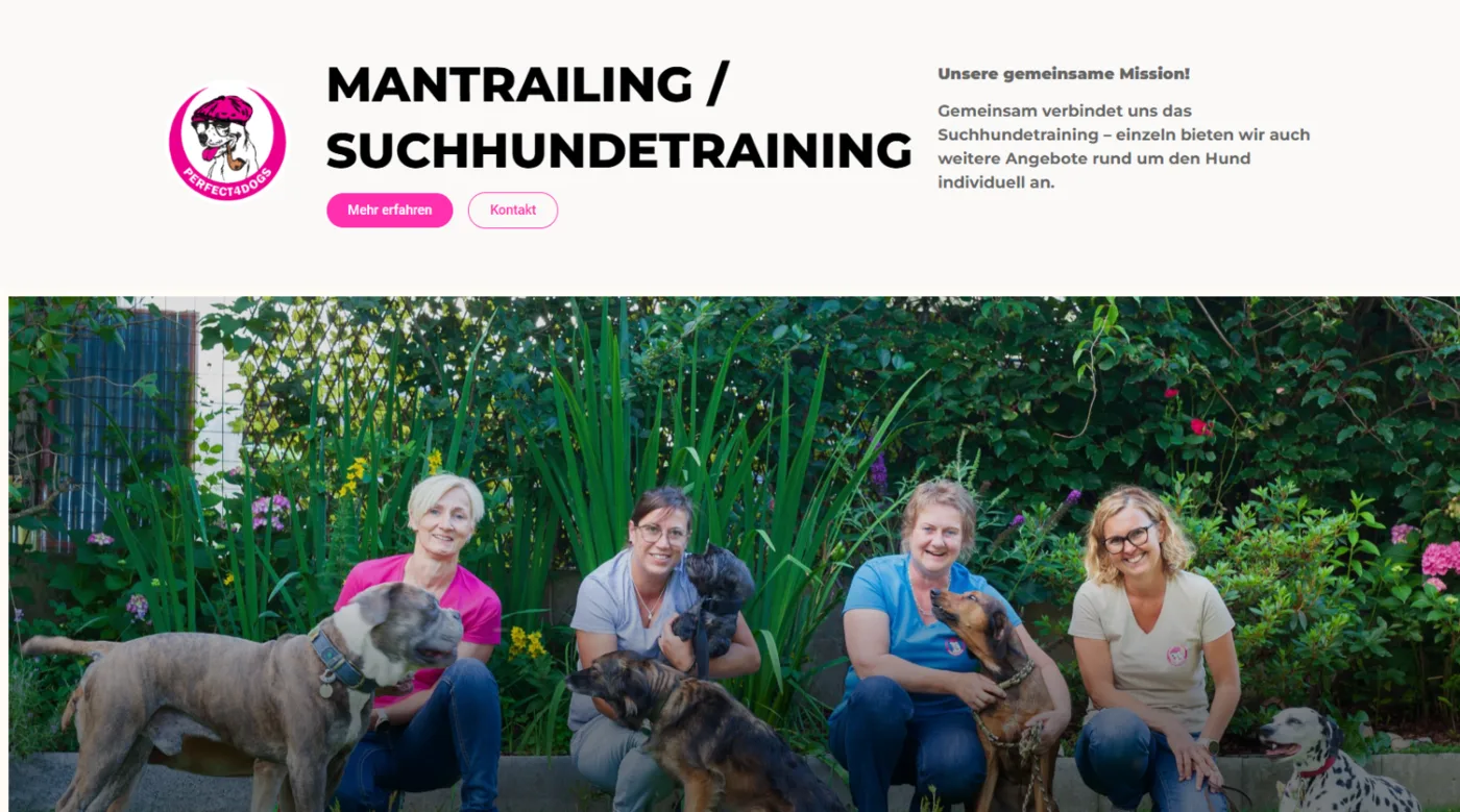 Website für Perfect4Dogs Hundetraining